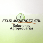 Felix Menendez S.R.L.